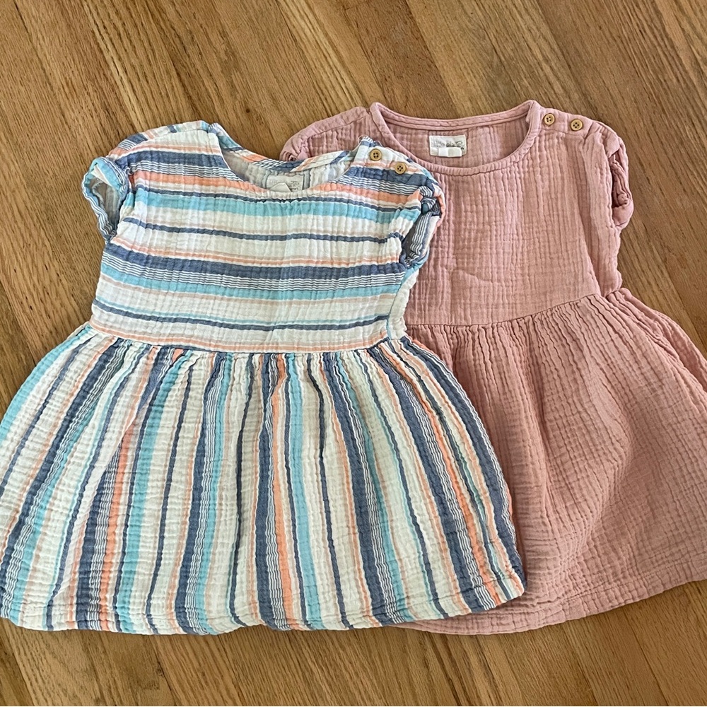 Carters Little Planet Dress Bundle (2T)